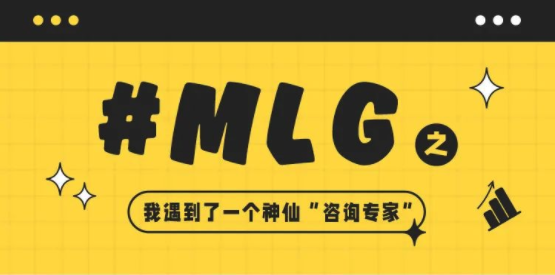 MLG | 我遇到了一个神仙“咨询专家”