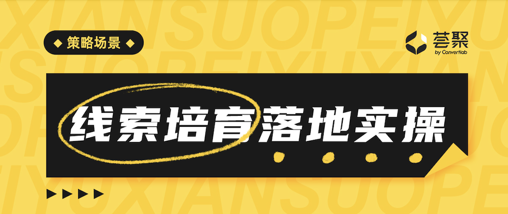 进来抄作业！「线索培育场景落地指南」荟聚实操分享